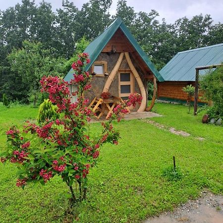 Gazela Bungalov 1 Mojkovac Extérieur photo