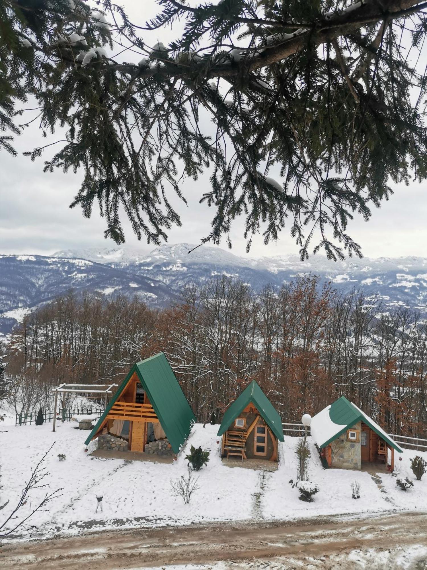 Gazela Bungalov 1 Mojkovac Extérieur photo